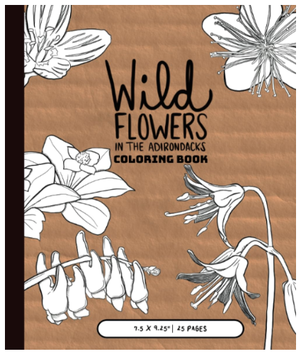 Wild Flowers In the Adirondacks Coloring Book-front cover